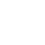 Iriartea Pilez