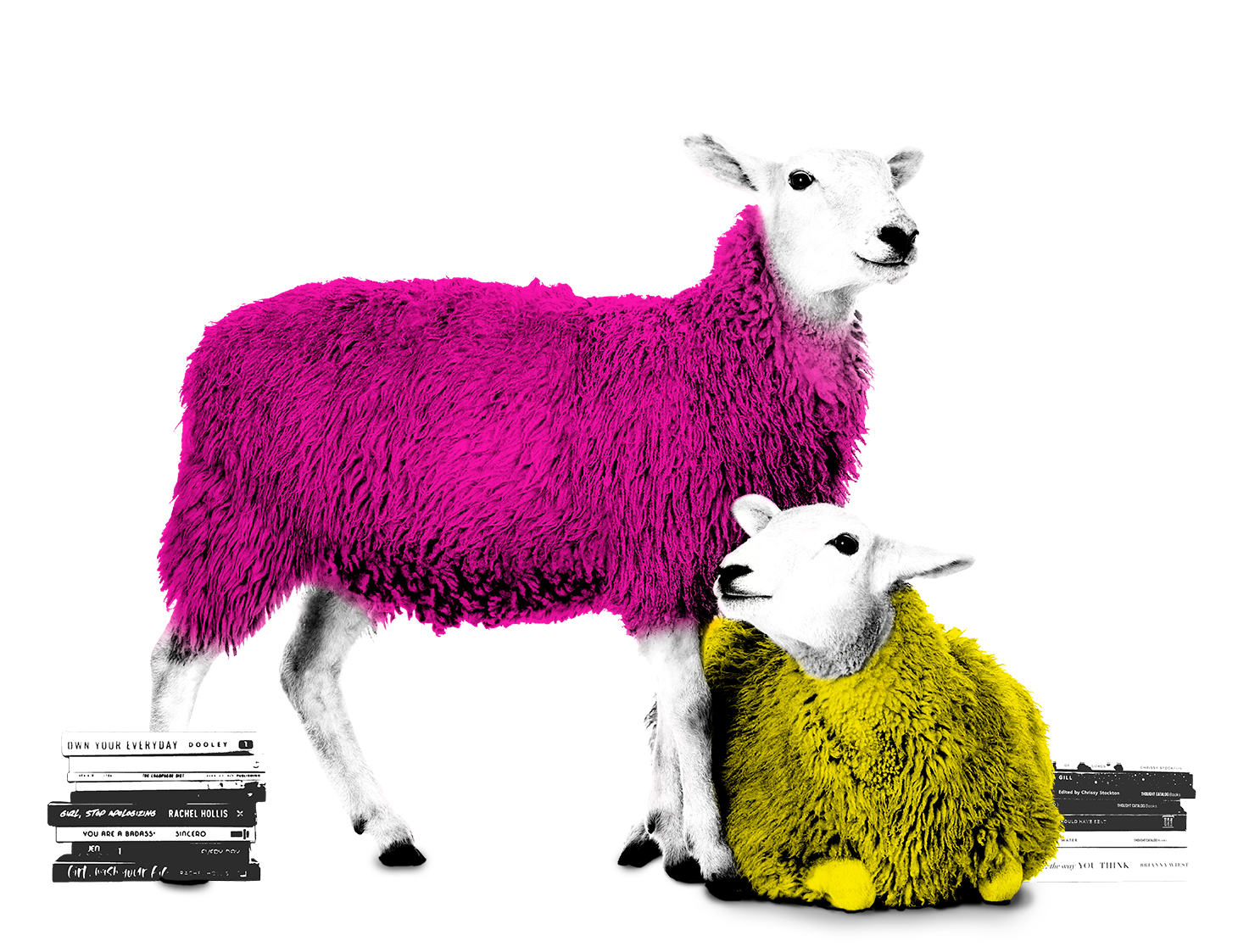 Dos ovejas, una de pie de color de rosa y otra tumbada de color amarillo junto con varios libros